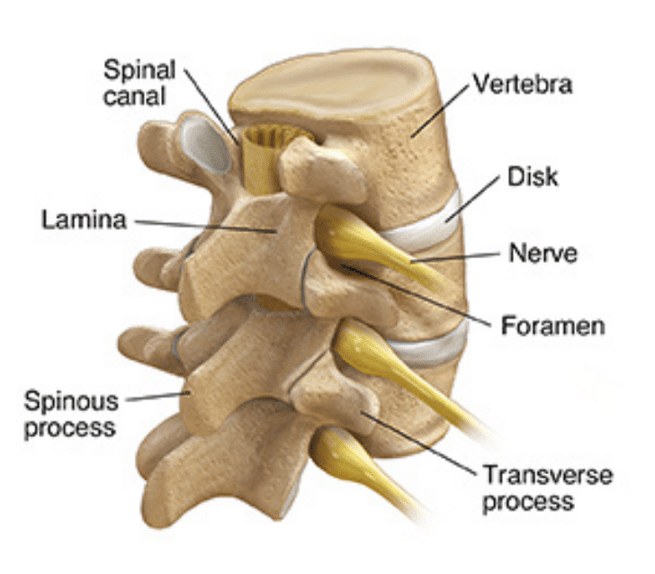 The truth about Degenerative Disc Disease (DDD)